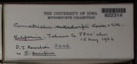 Image Associated With the Occurence